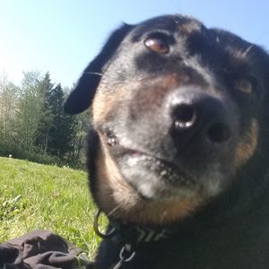 Meet your Posher, Usnea